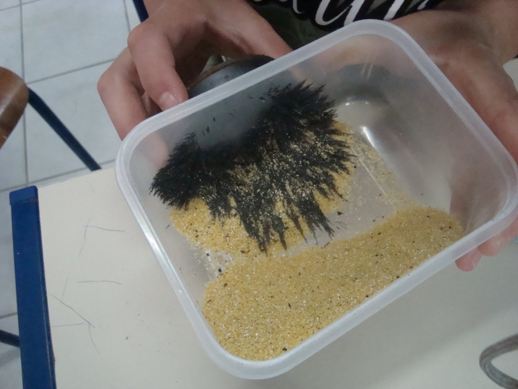 Fonte: escolaernaheidrich.blogspot.com