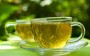 Fitoterápicos: Chá verde é excelente para sua dieta!