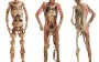 Visão Panorâmica sobre o Corpo Humano