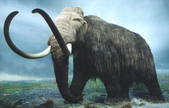 mamutes