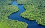 Guia completo da Floresta Amazônica
