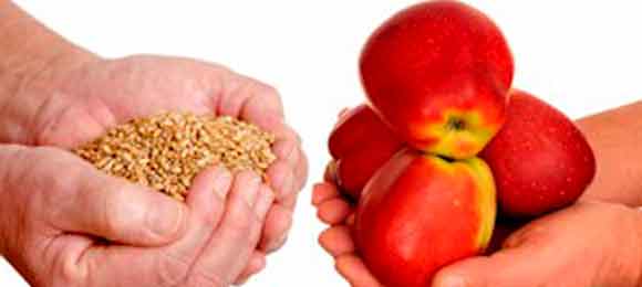 História econômica Brasil