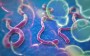 Ebola – uma das piores doenças do Mundo