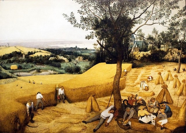 Agricultura Idade Média