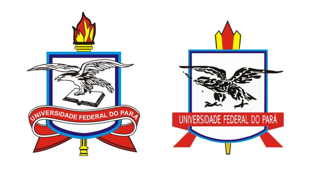 Federal do Pará abre 1000 mil vagas em processo seletivo especial