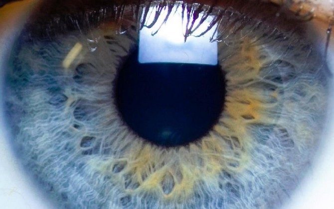 Fotografica Memória