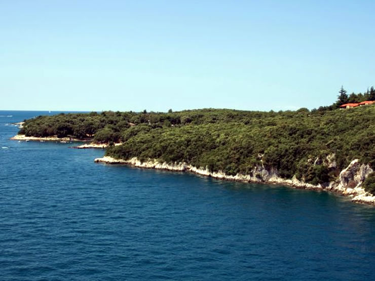 Vegetação Mediterranea