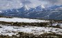 Tundra: bioma mais frio do planeta