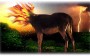 Folclore: o que representa a mula sem cabeça?