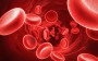Como a anemia afeta o organismo