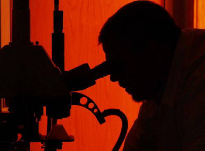 Institutos Federais poderão começar a conceder bolsas de pesquisa