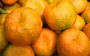 Benefícios da tangerina para o bem estar