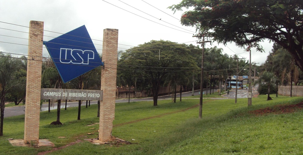 Enem deverá começar a ser aceito para admissão na USP