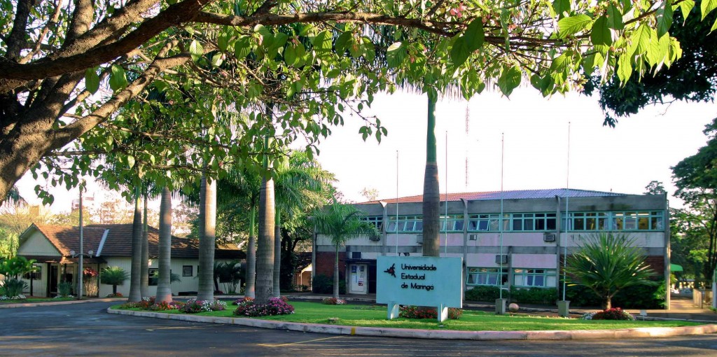 Universidade Estadual de Maringá inicia hoje processo de matrícula
