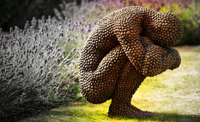 Tripofobia você também tem