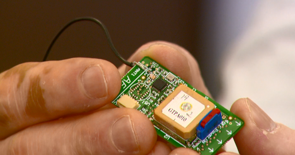 Unesp realiza estudo para entender melhor a movimentação de animais selvagens