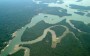 O que você sabe sobre a Bacia Amazônica?
