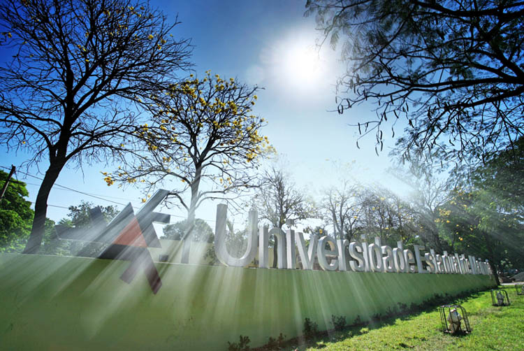 Universidade Estadual de Maringá abre inscrições para o vestibular de inverno 2