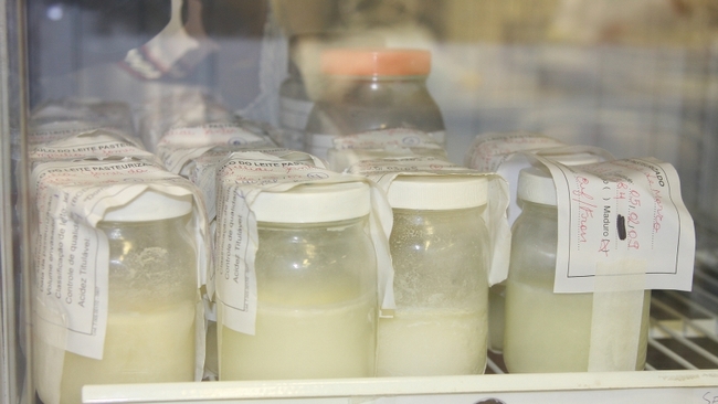 Detalhes da Campanha Nacional de Doação de Leite Materno 2015