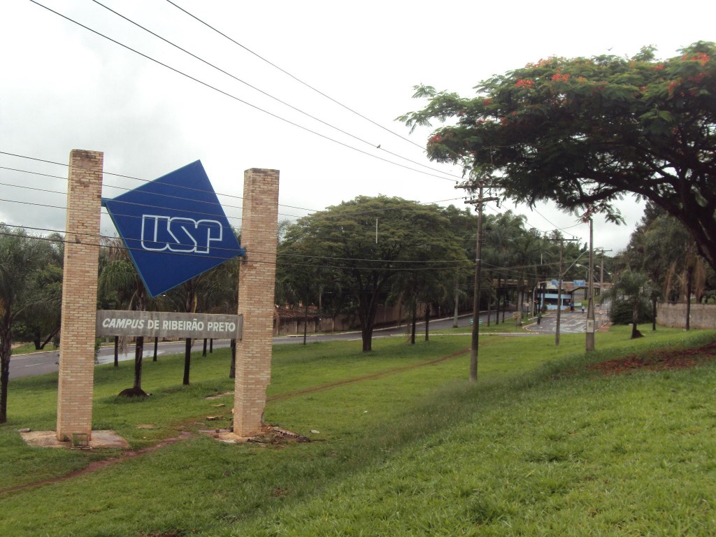 USP lidera ranking de melhores universidades da América Latina em 2015
