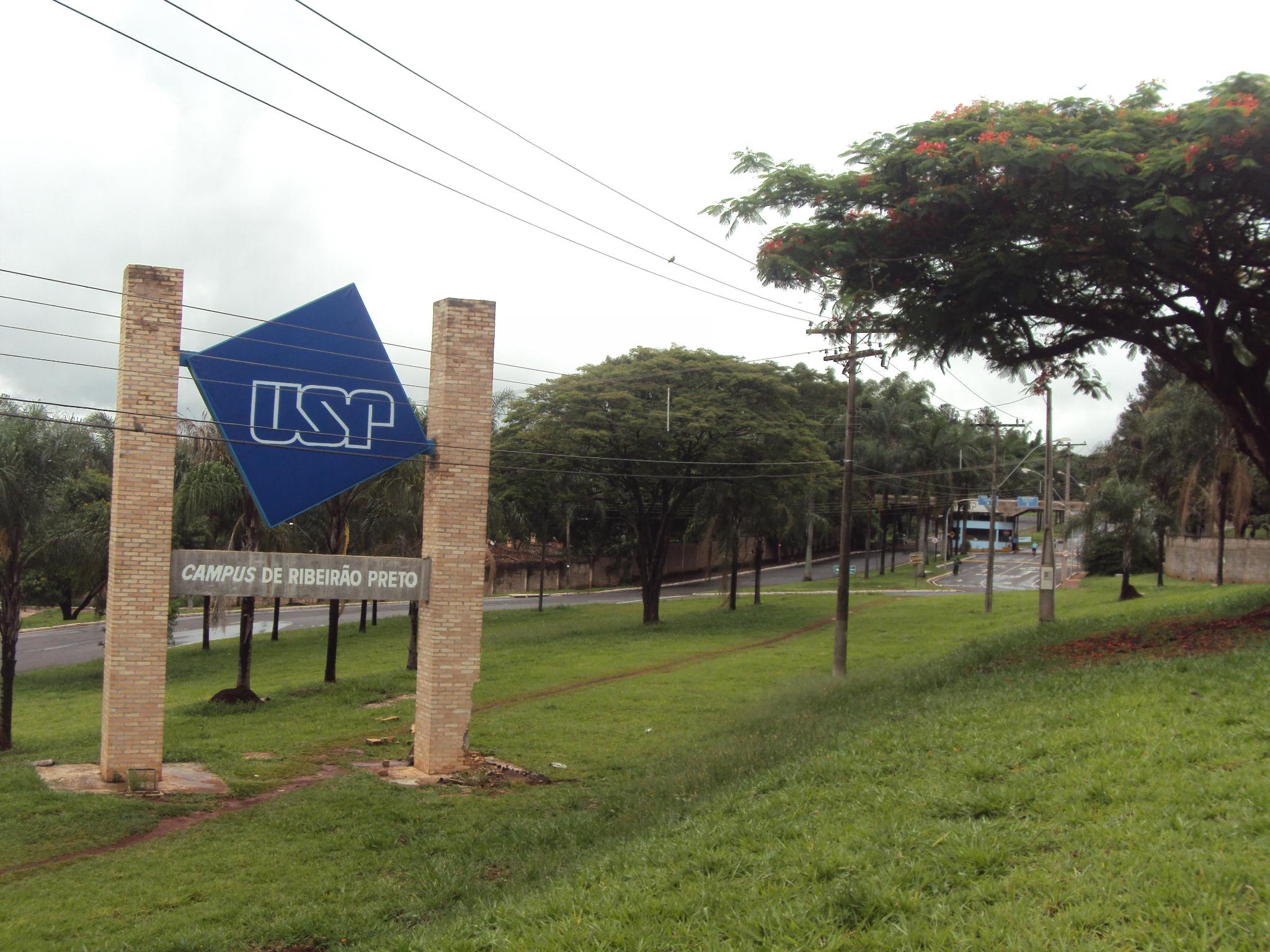 USP e Unicamp aparecem como as melhores universidades brasileiras em ranking internacional