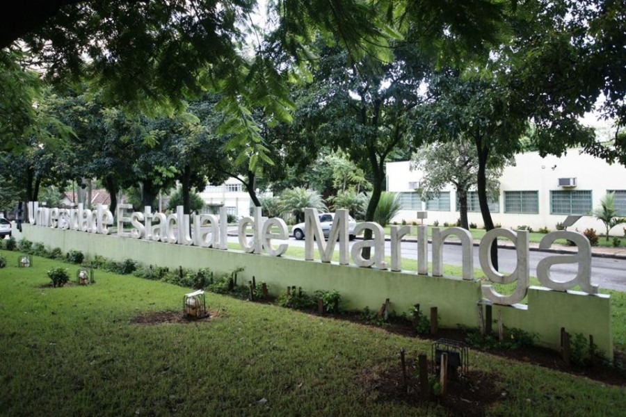 Aprovado cotas para negros nos Vestibulares da Universidade Estadual de