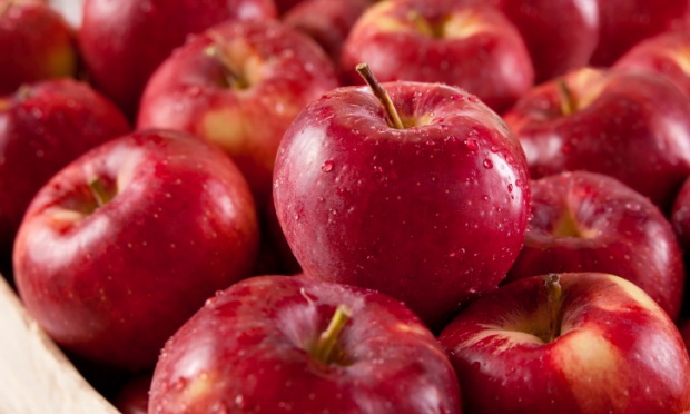 Alimentos rápidos e saudáveis para a correria diária