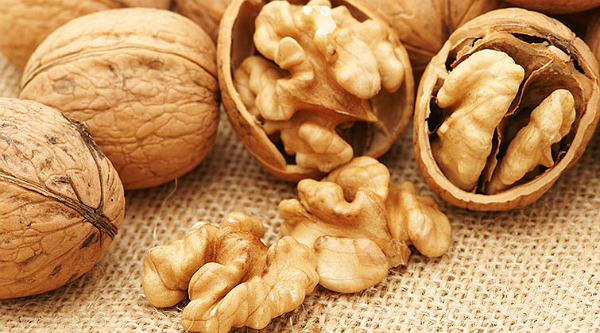 Alimentos rápidos saudáveis para a correria diária