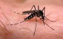 Doenças desencadeadas pelo Aedes aegypti