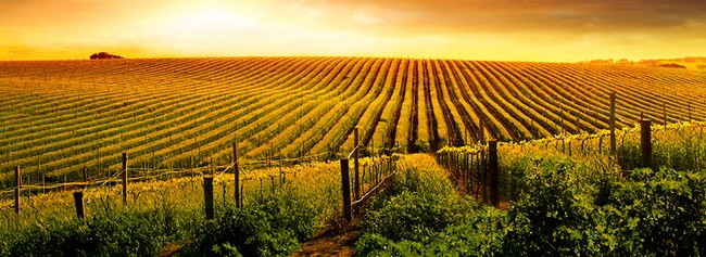 O que são agrossistemas