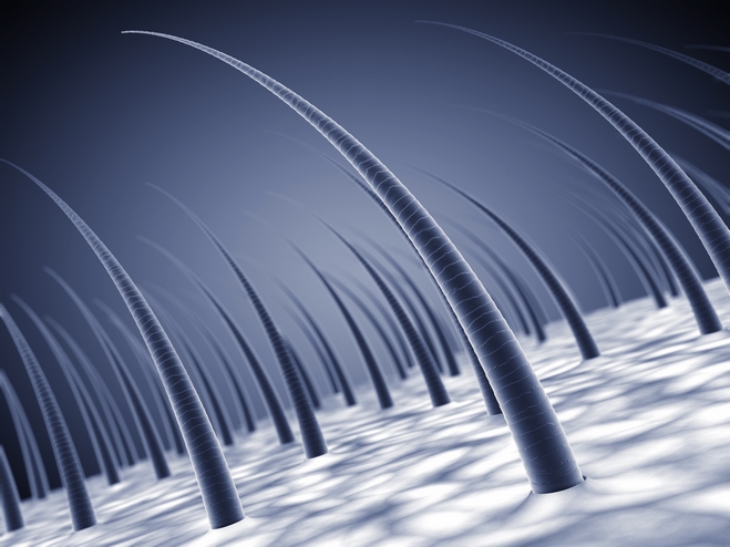 Receitas máscaras capilares com óleos essenciais