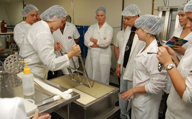 Universidade Estadual de Ponta Grossa abre inscrições para curso de produção de queijos