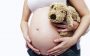 Insônia na gravidez: o que fazer?