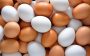 Melhores tipos de ovos para a saúde