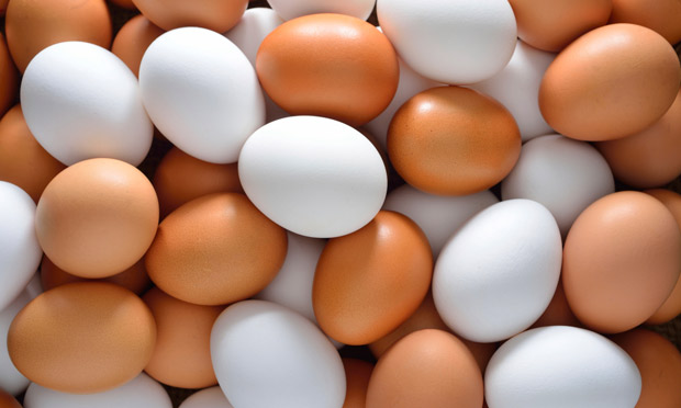 Melhores tipos de ovos para saúde