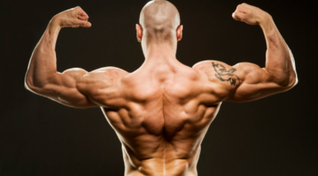 Por que os músculos crescem