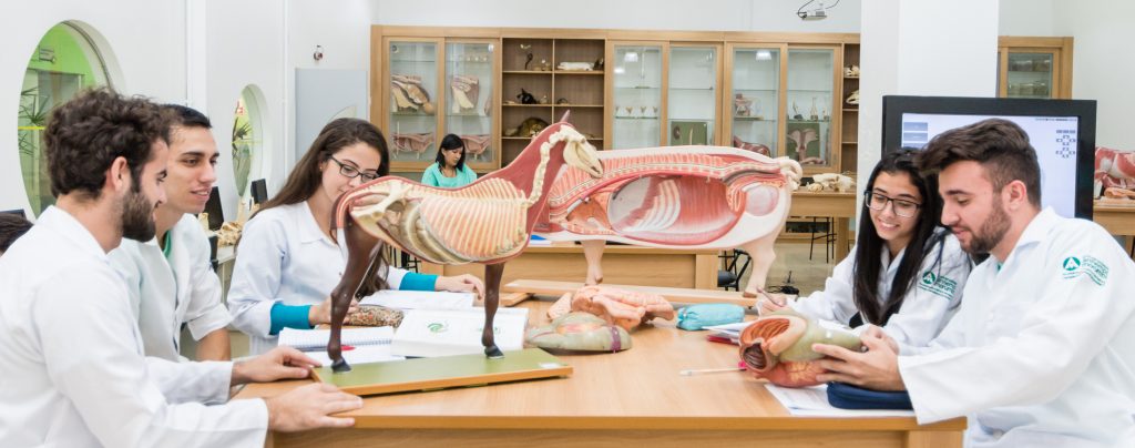 mec-divulga-autorizacao-para-abertura-de-novos-cursos-de-medicina-pelo-brasil