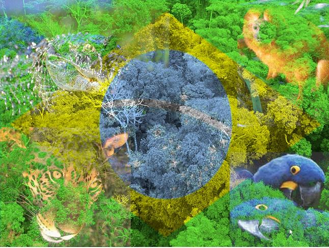 dia-dos-simbolos-nacionais