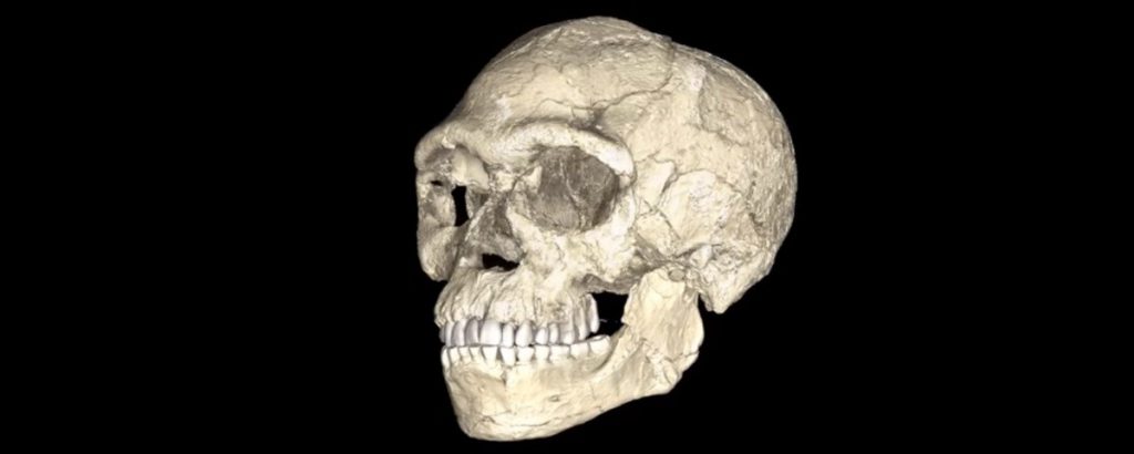 Descobertas recentes podem provar que nossa espécie surgiu antes do que se pensava