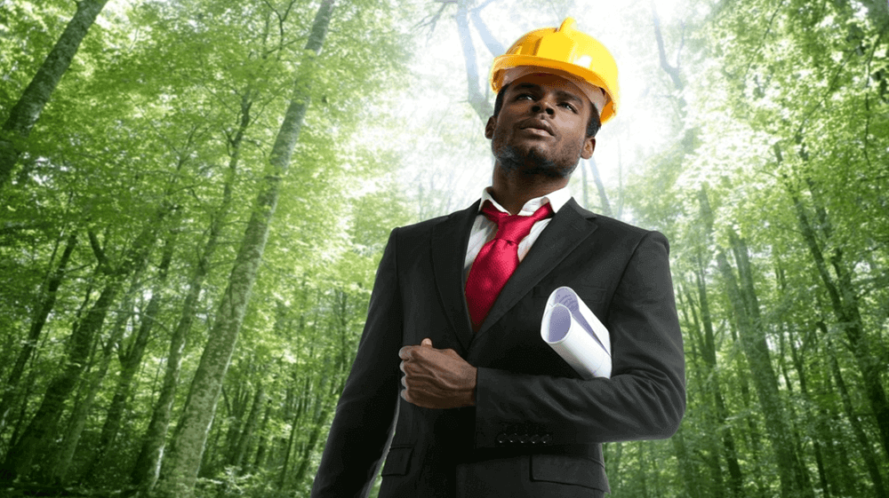 Entenda as diferenças entre Gestão Ambiental e Engenharia Ambiental