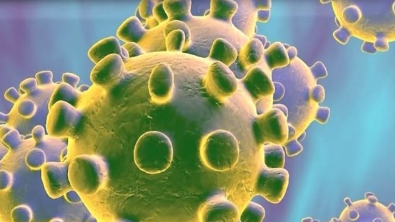 7 dicas para prevenir a infecção por coronavírus