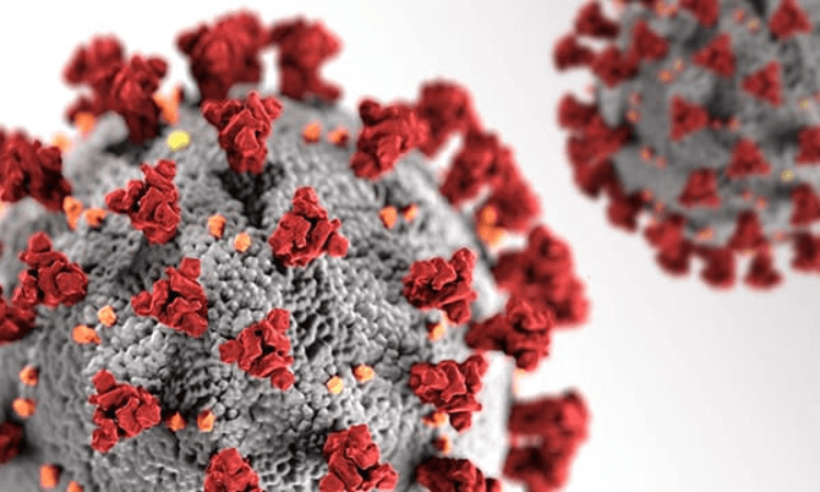 Coronavírus: conheça os primeiros sinais