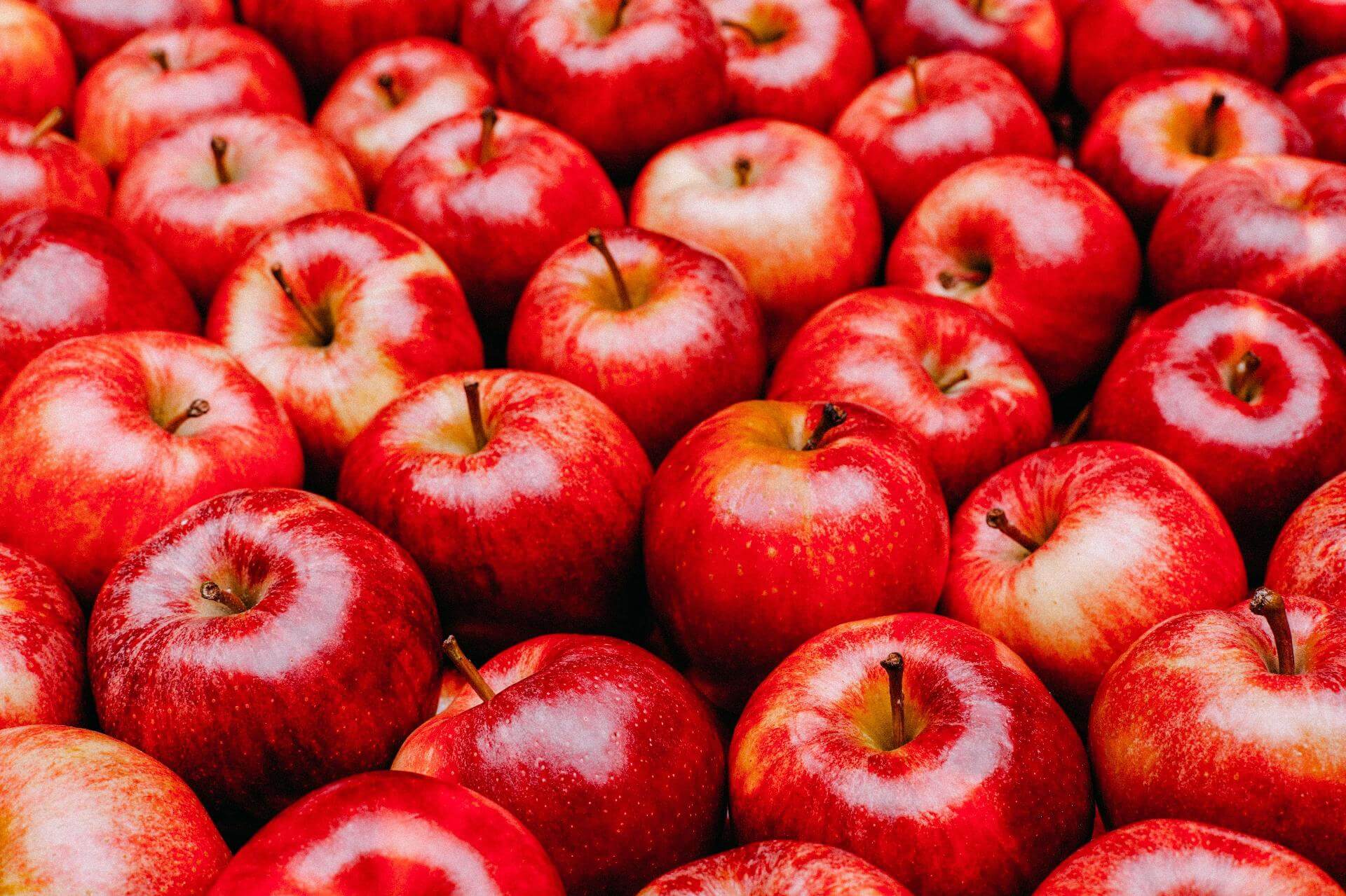 5 frutas presentes no dia a dia que podem ser tóxicas