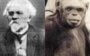 4 cientistas malucos que realmente existiram